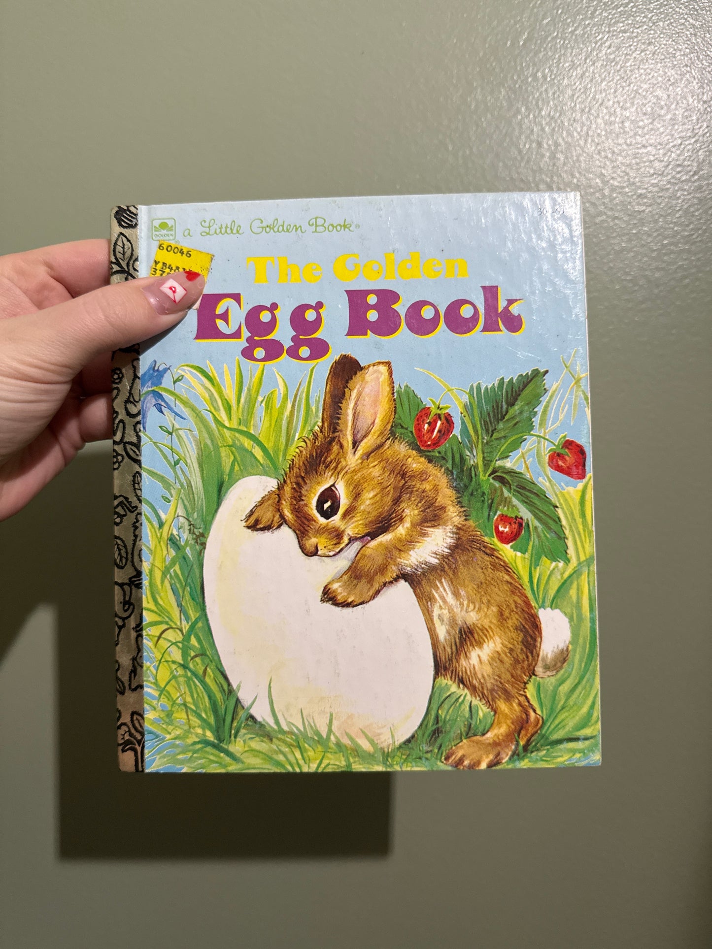 Egg Book Custom Journal Preorder