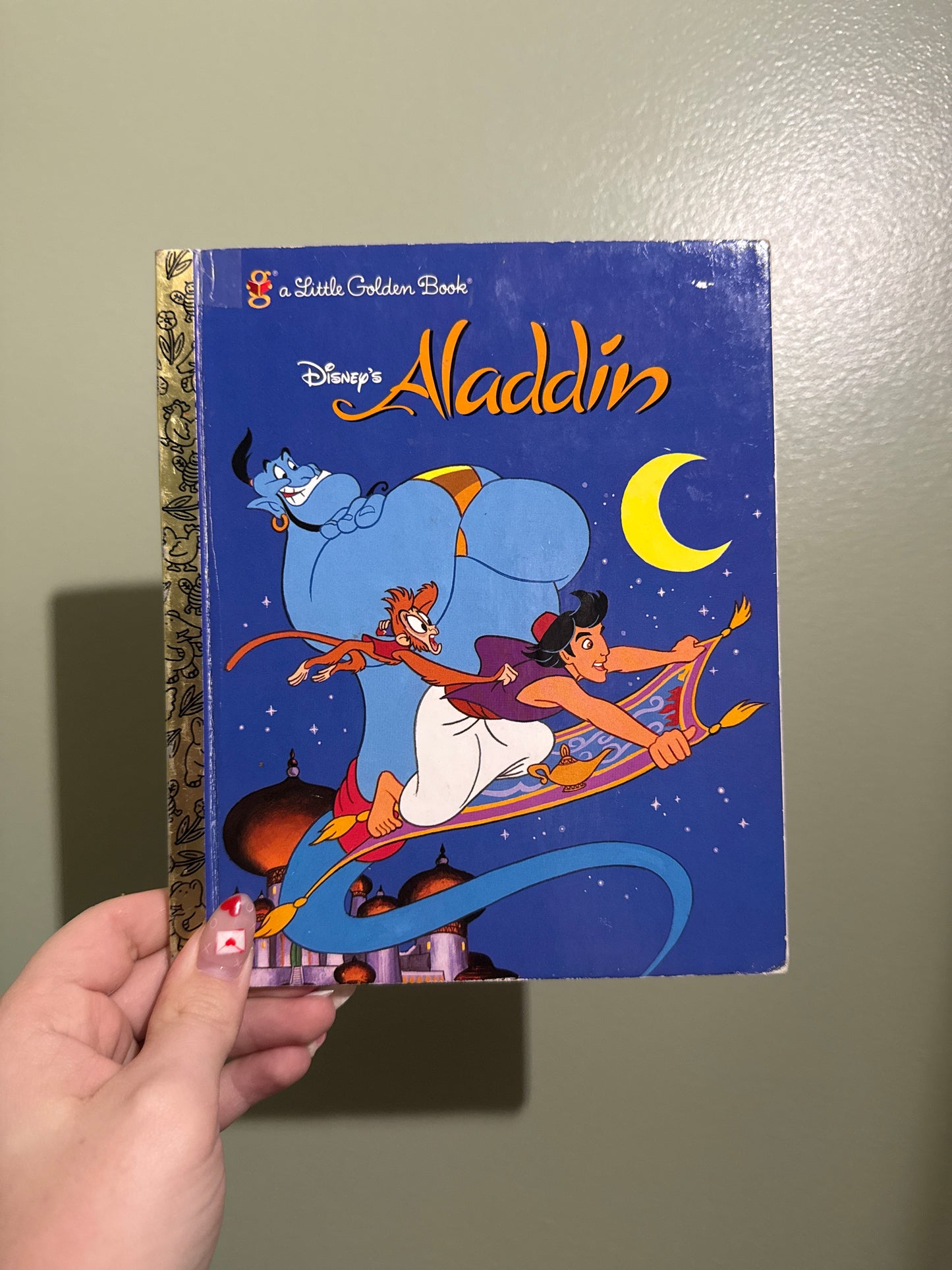 Aladdin Custom Journal Preorder