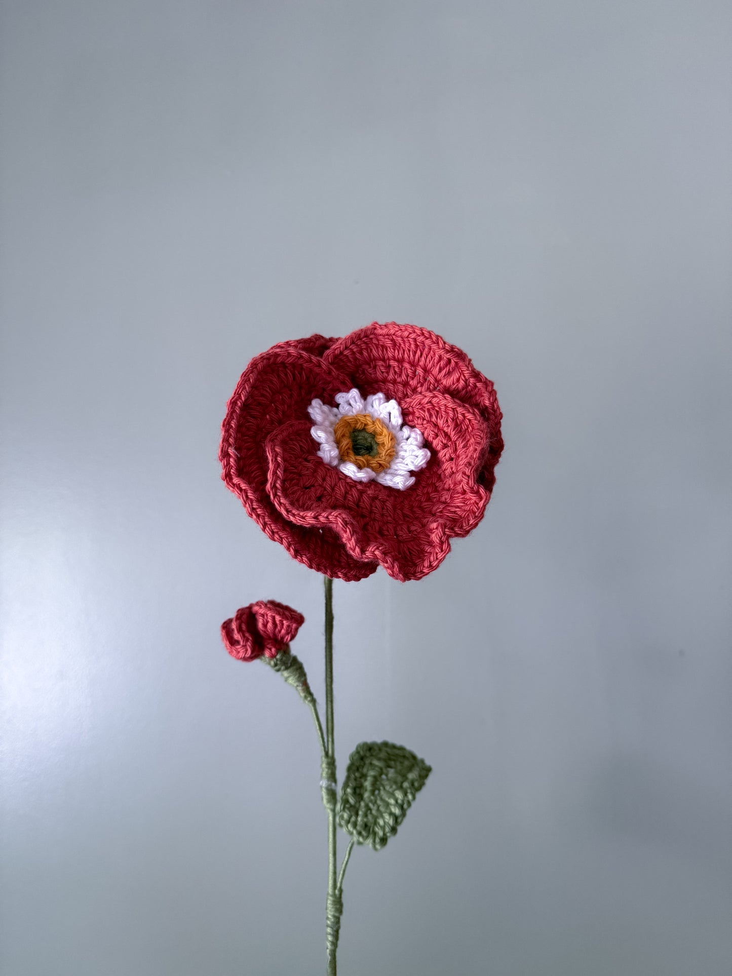 Poppy (August)
