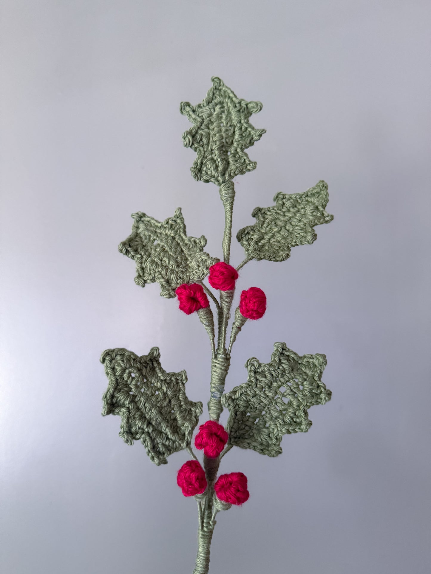 Holly(December)