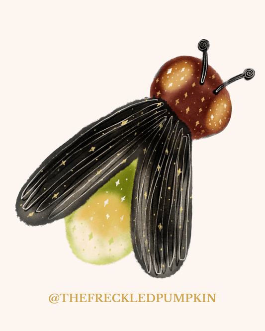 January2026- Firefly Message A Tired Sprout