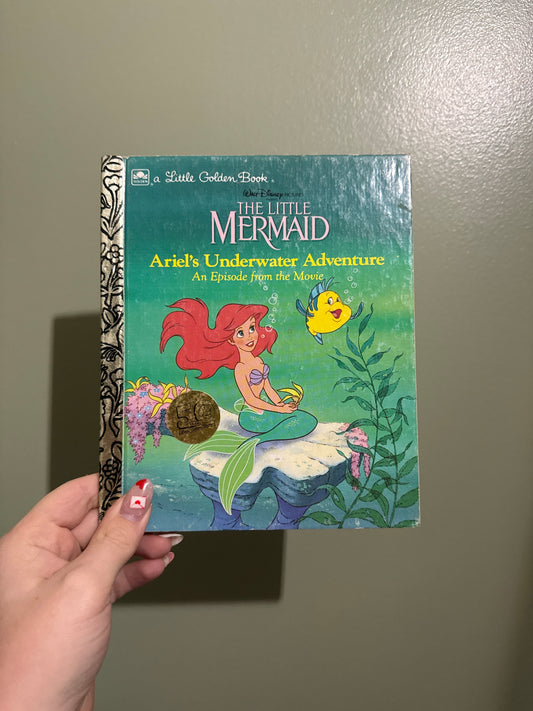 Little Mermaid Custom Journal Preorder