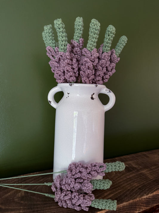 Vervain Bundle (3 Stems)