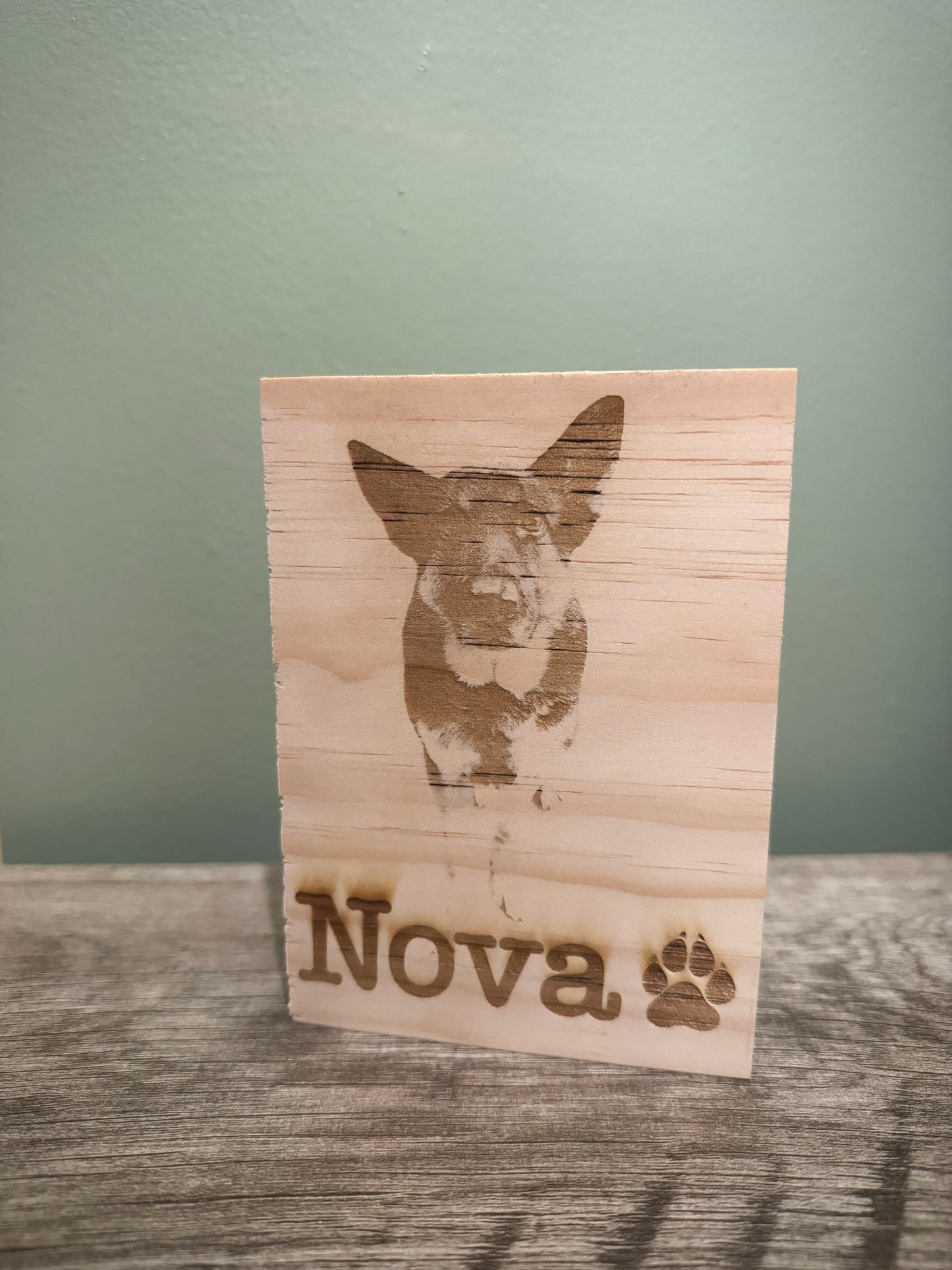 Pet Portrait Custom Engraved