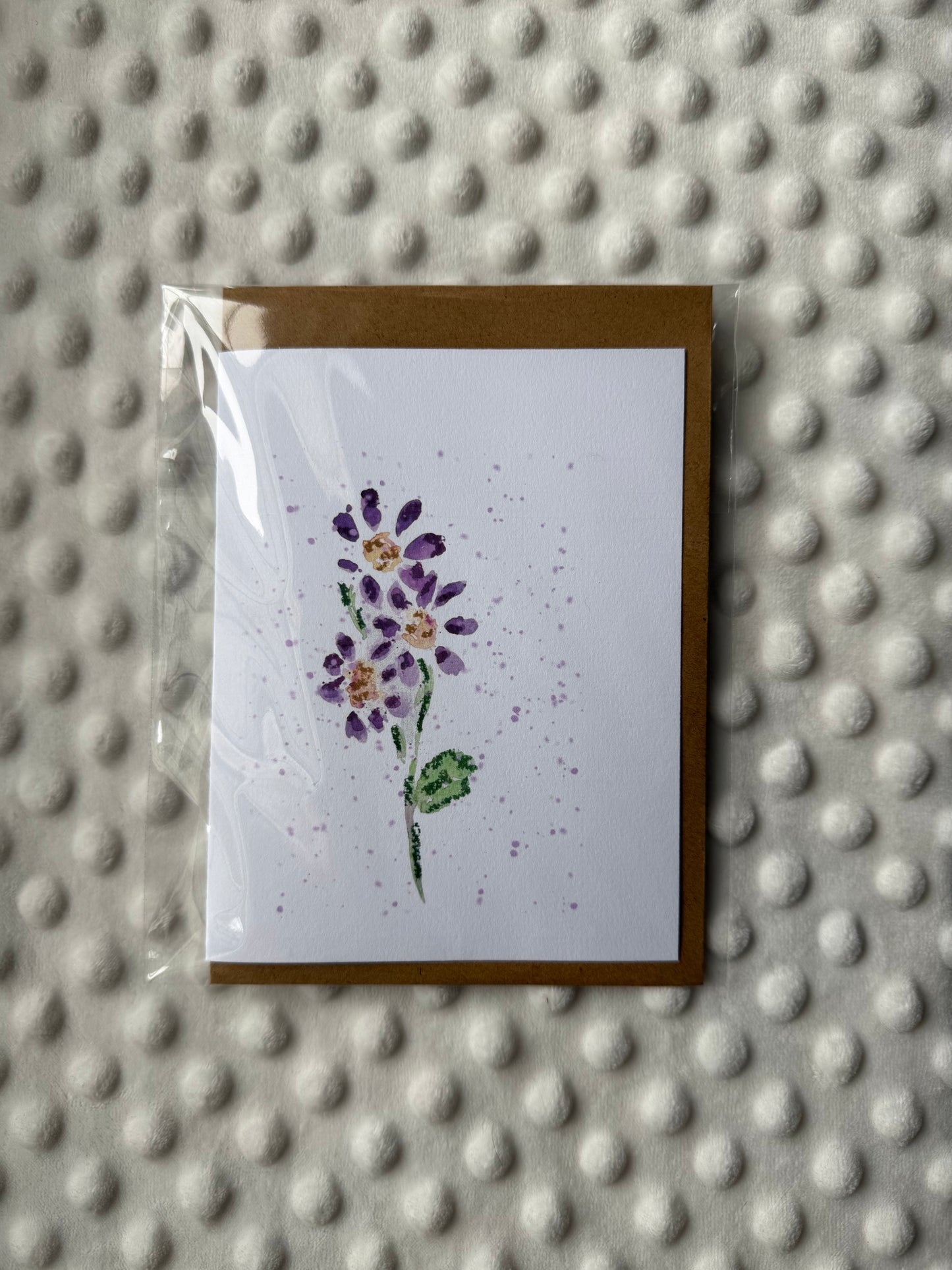 September Birth Flower – Aster Greeting Card