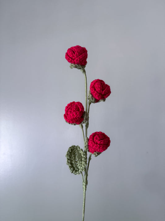 Rose (June)