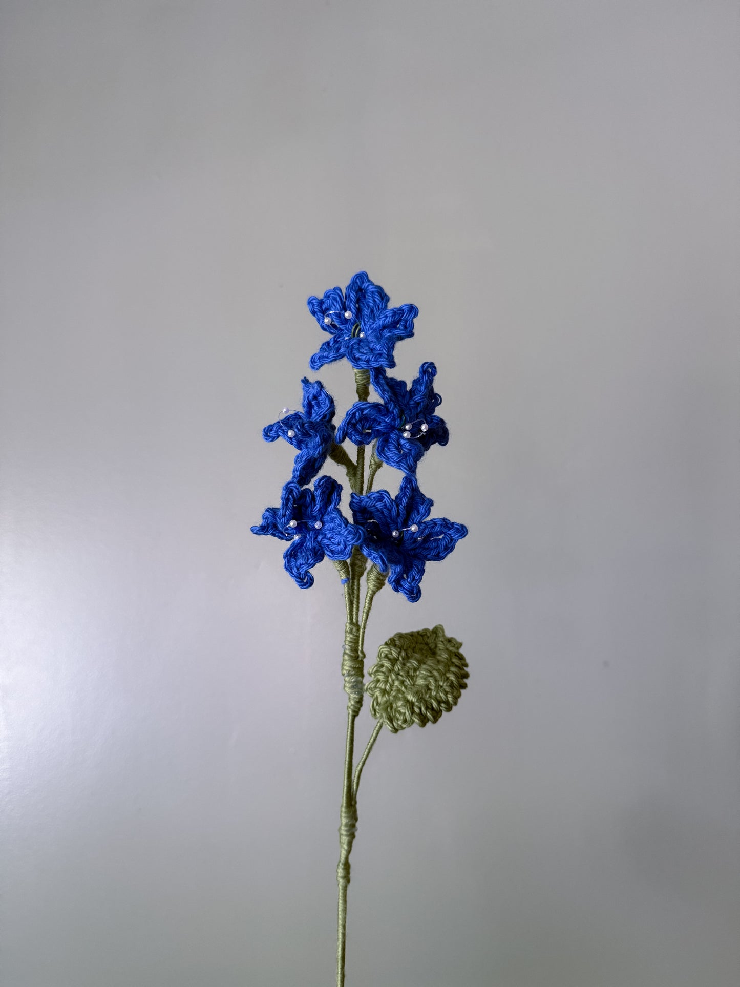 Larkspur (July)