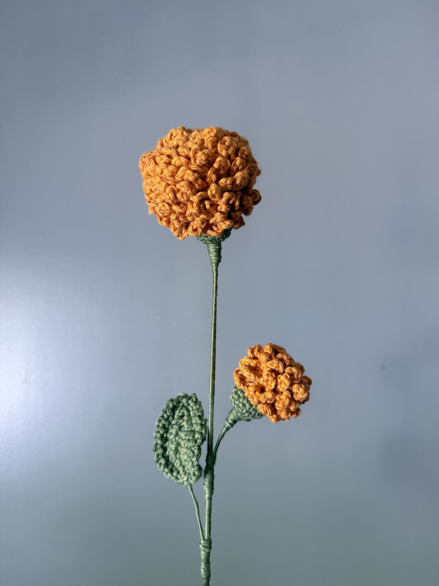 Marigold (October)